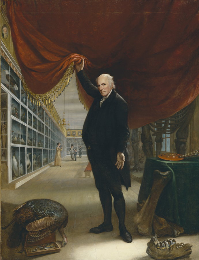 The Artist in His Museum by Charles Willson Peale