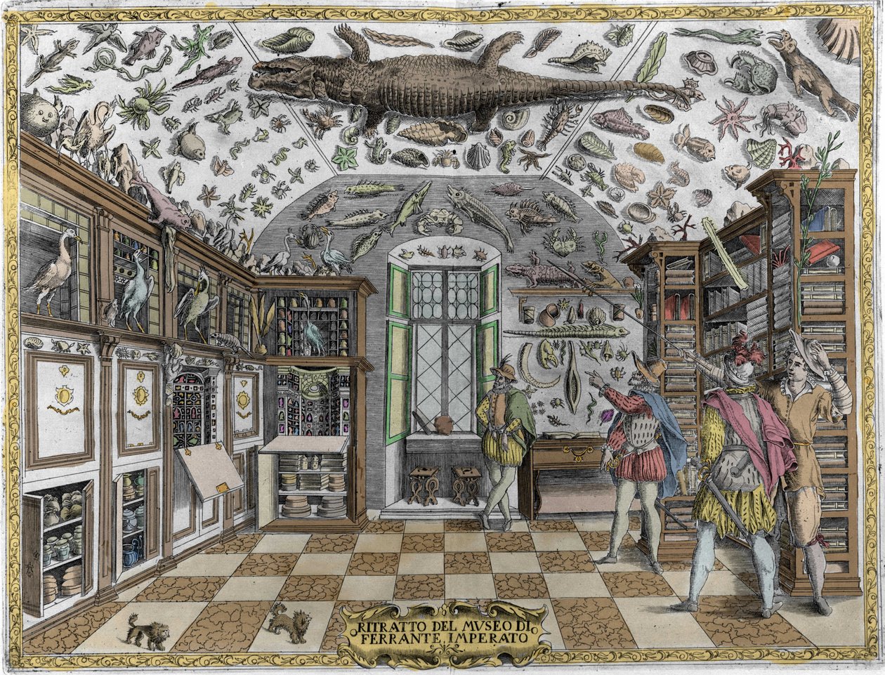 Illustrazione da Dell'Historia Naturale